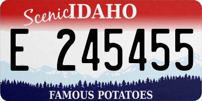 ID license plate E245455