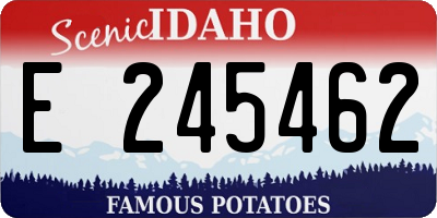 ID license plate E245462