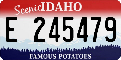 ID license plate E245479
