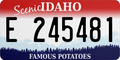 ID license plate E245481