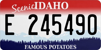 ID license plate E245490