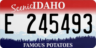 ID license plate E245493