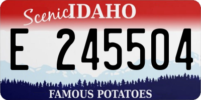 ID license plate E245504