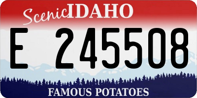 ID license plate E245508