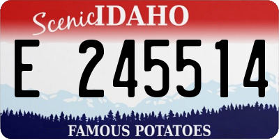 ID license plate E245514