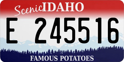 ID license plate E245516
