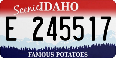 ID license plate E245517