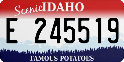 ID license plate E245519
