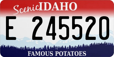 ID license plate E245520