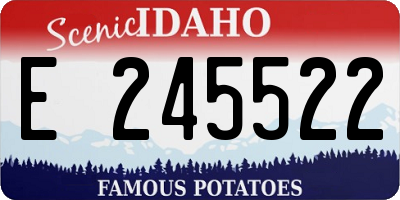 ID license plate E245522