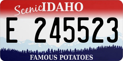 ID license plate E245523