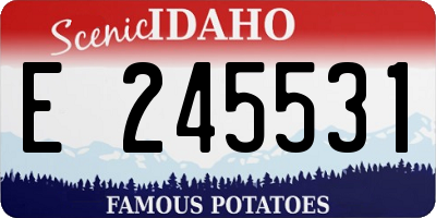 ID license plate E245531