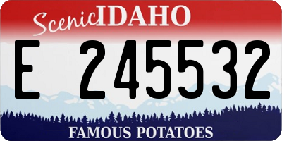 ID license plate E245532