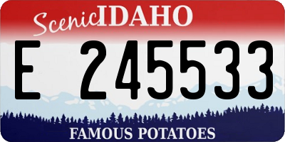 ID license plate E245533