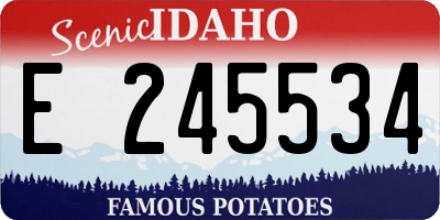 ID license plate E245534