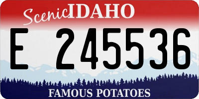 ID license plate E245536