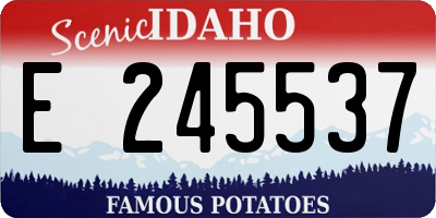 ID license plate E245537