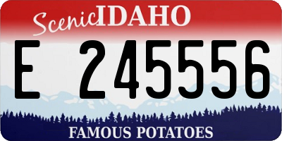ID license plate E245556