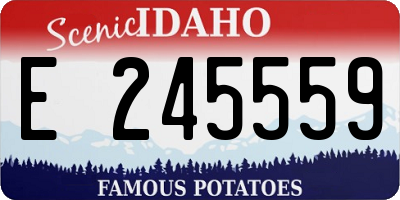 ID license plate E245559