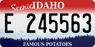 ID license plate E245563