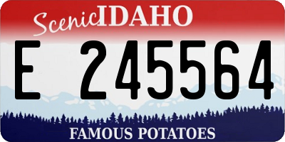 ID license plate E245564