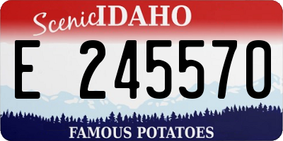 ID license plate E245570