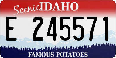 ID license plate E245571