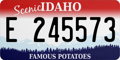 ID license plate E245573