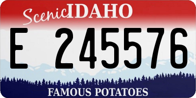 ID license plate E245576