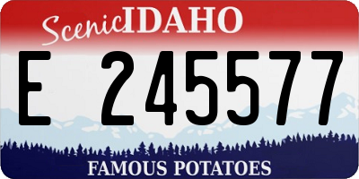 ID license plate E245577