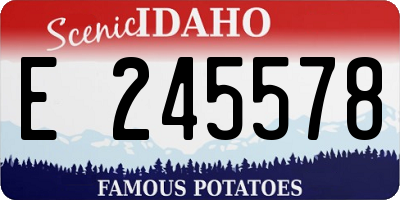 ID license plate E245578