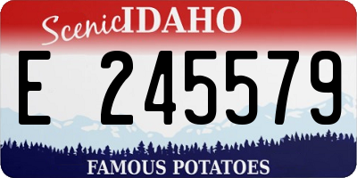 ID license plate E245579