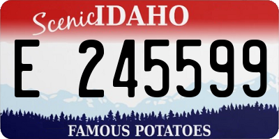 ID license plate E245599