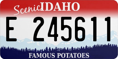 ID license plate E245611