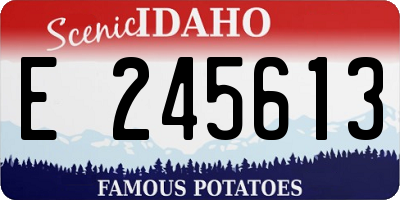 ID license plate E245613