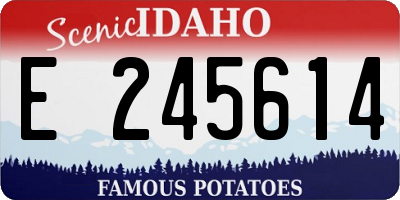 ID license plate E245614