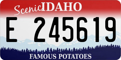 ID license plate E245619