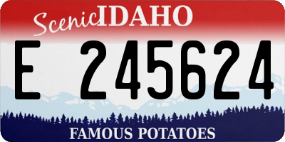 ID license plate E245624