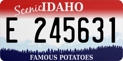 ID license plate E245631