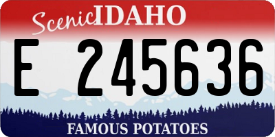ID license plate E245636