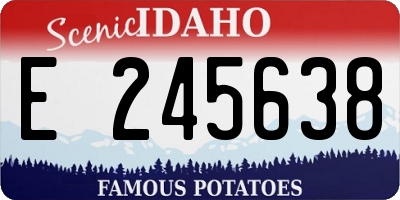 ID license plate E245638