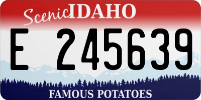 ID license plate E245639