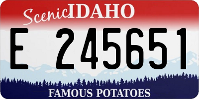 ID license plate E245651