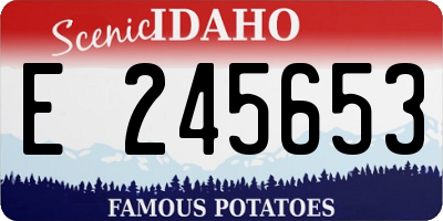 ID license plate E245653