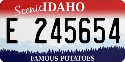ID license plate E245654