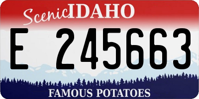 ID license plate E245663
