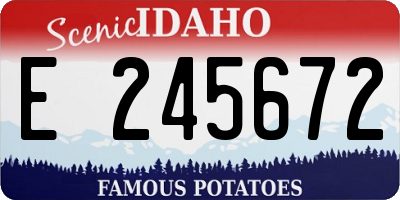 ID license plate E245672