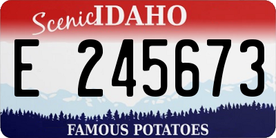ID license plate E245673