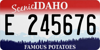 ID license plate E245676