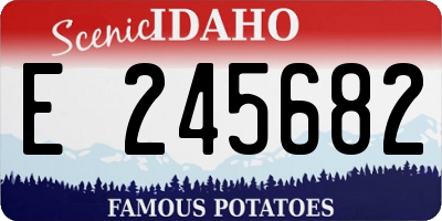 ID license plate E245682